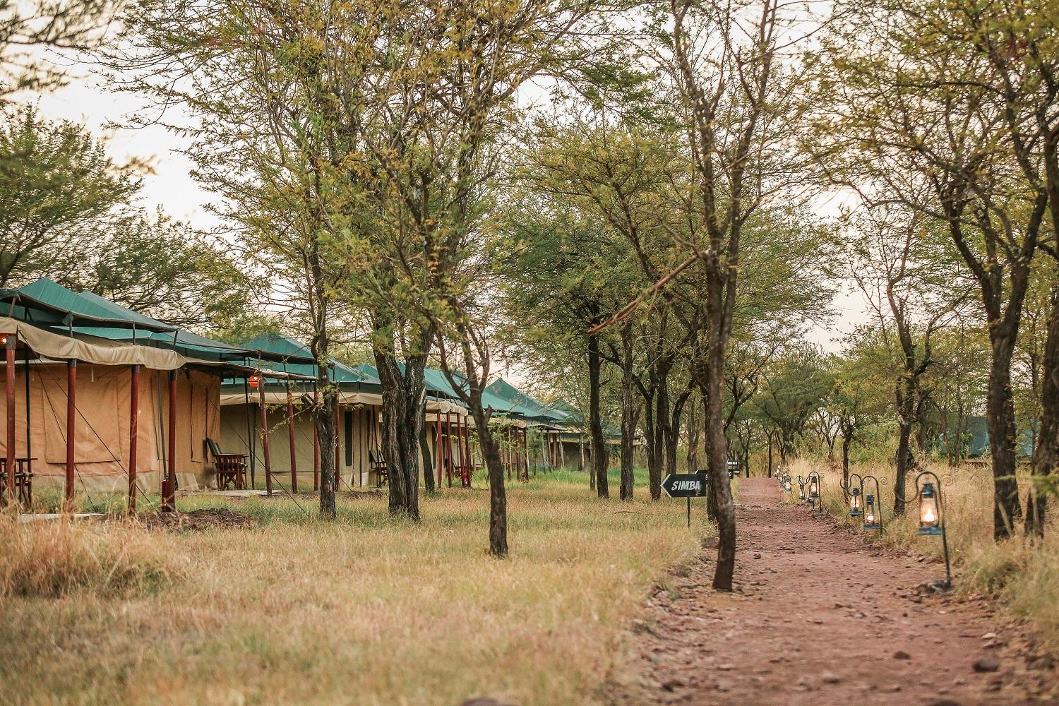 Accommodation